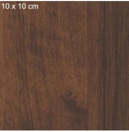 Tarpinis riešutas LMDP