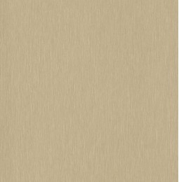 Inox šampaninė LMDP