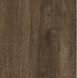 Kavos ąžuolas Carpenter LMDP