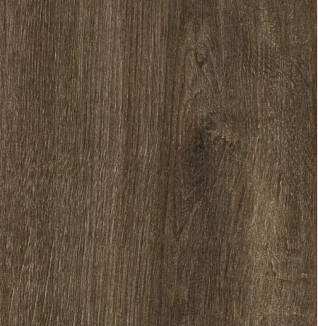 Kavos ąžuolas Carpenter LMDP