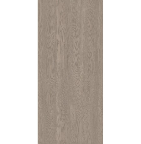 Pilkas tūkstantmečio ąžuolas LMDP