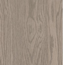 Pilkas tūkstantmečio ąžuolas LMDP