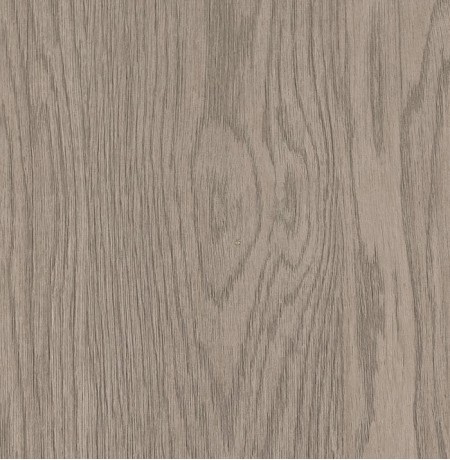 Pilkas tūkstantmečio ąžuolas LMDP