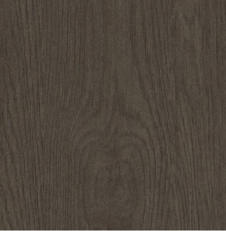 Tūkstantmečio ąžuolas LMDP