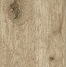 Viking ąžuolas LMDP