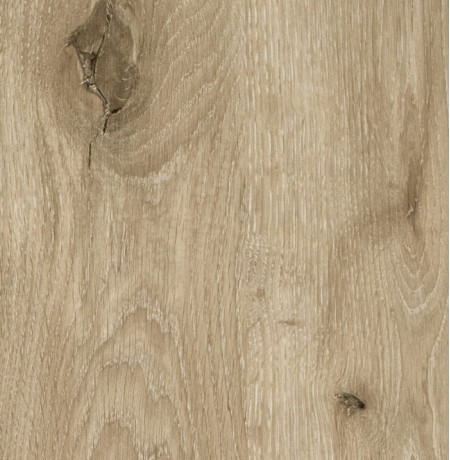 Viking ąžuolas LMDP