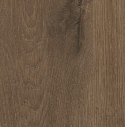 Šiltas Viking ąžuolas LMDP